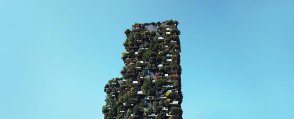 390438377.jpg